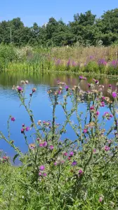 Leentje 08 Castricum